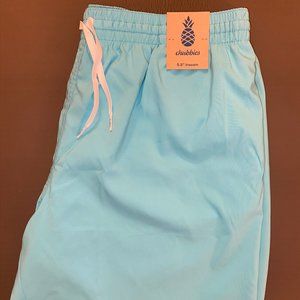 Chubbie Shorts- The Deep Ends 5.5" Swin Shorts